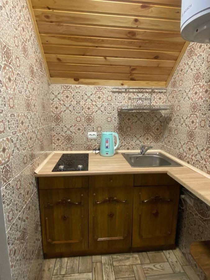Затишок В Карпатах 1 Apartment สลาฟสเก ภายนอก รูปภาพ